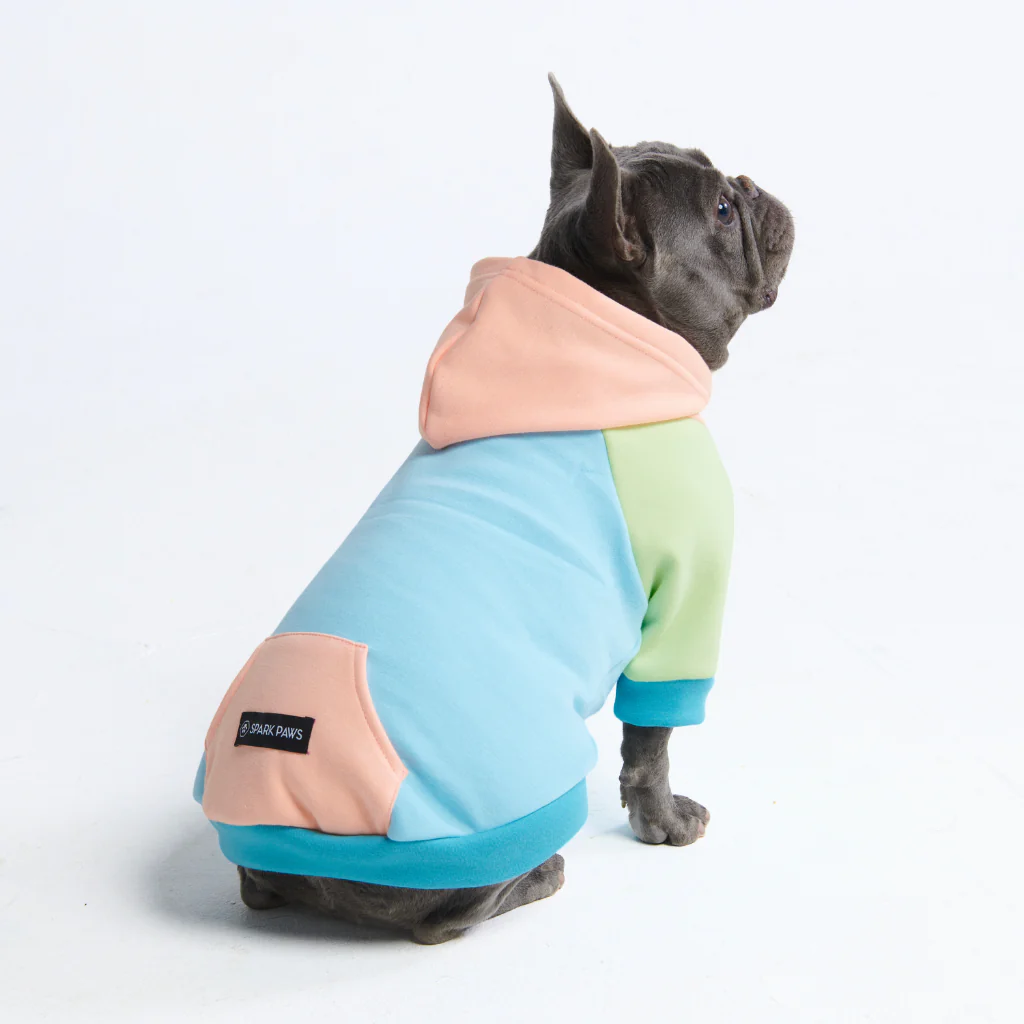 Jelly Bean Dog Hoodie - Image 9