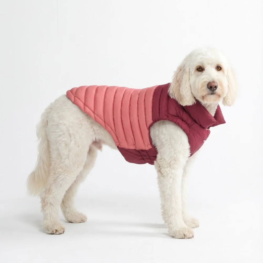 PuffShield Winter Jackets - Image 11