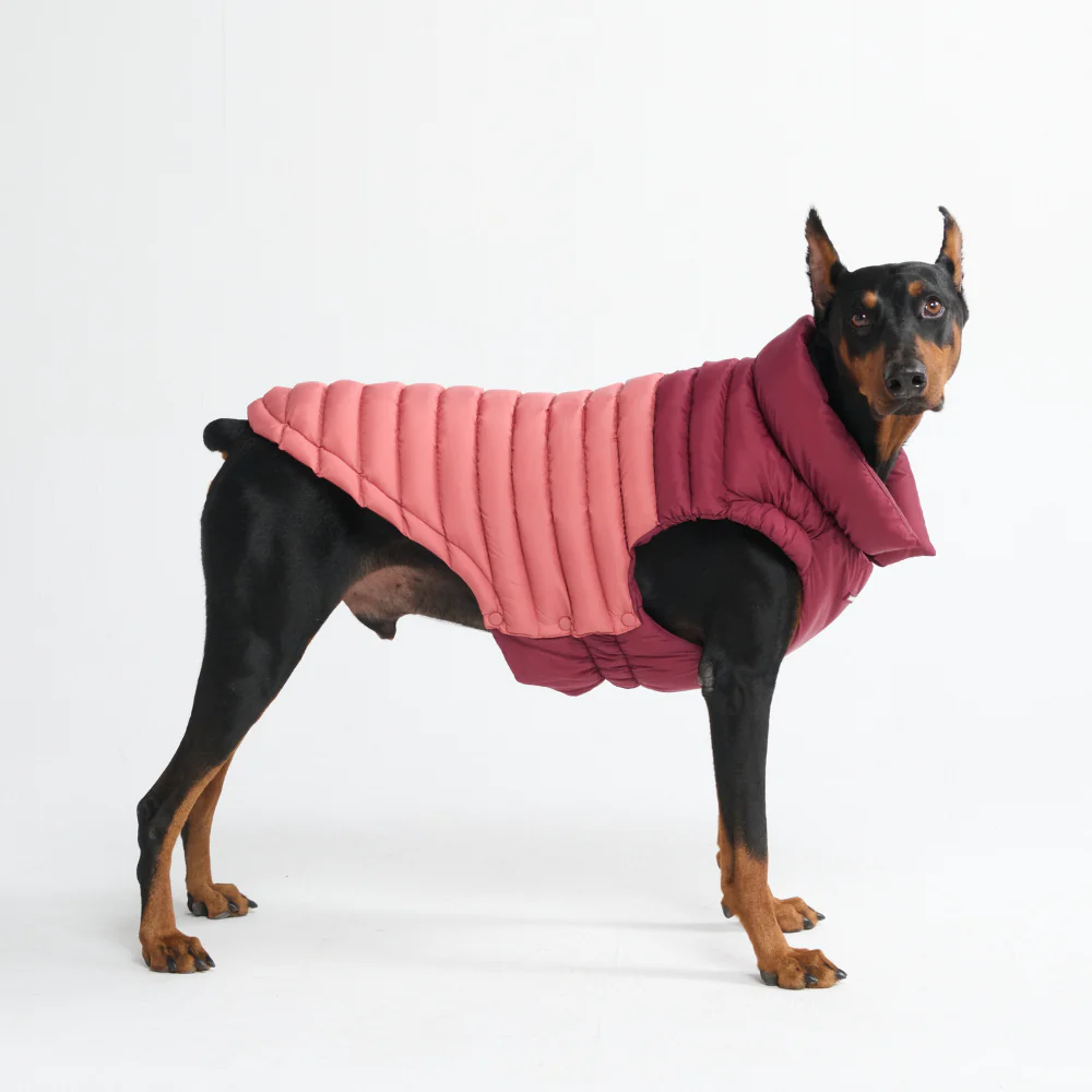 PuffShield Winter Jackets - Image 19