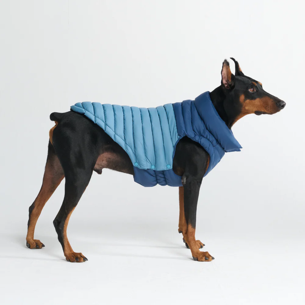 PuffShield Winter Jackets - Image 29