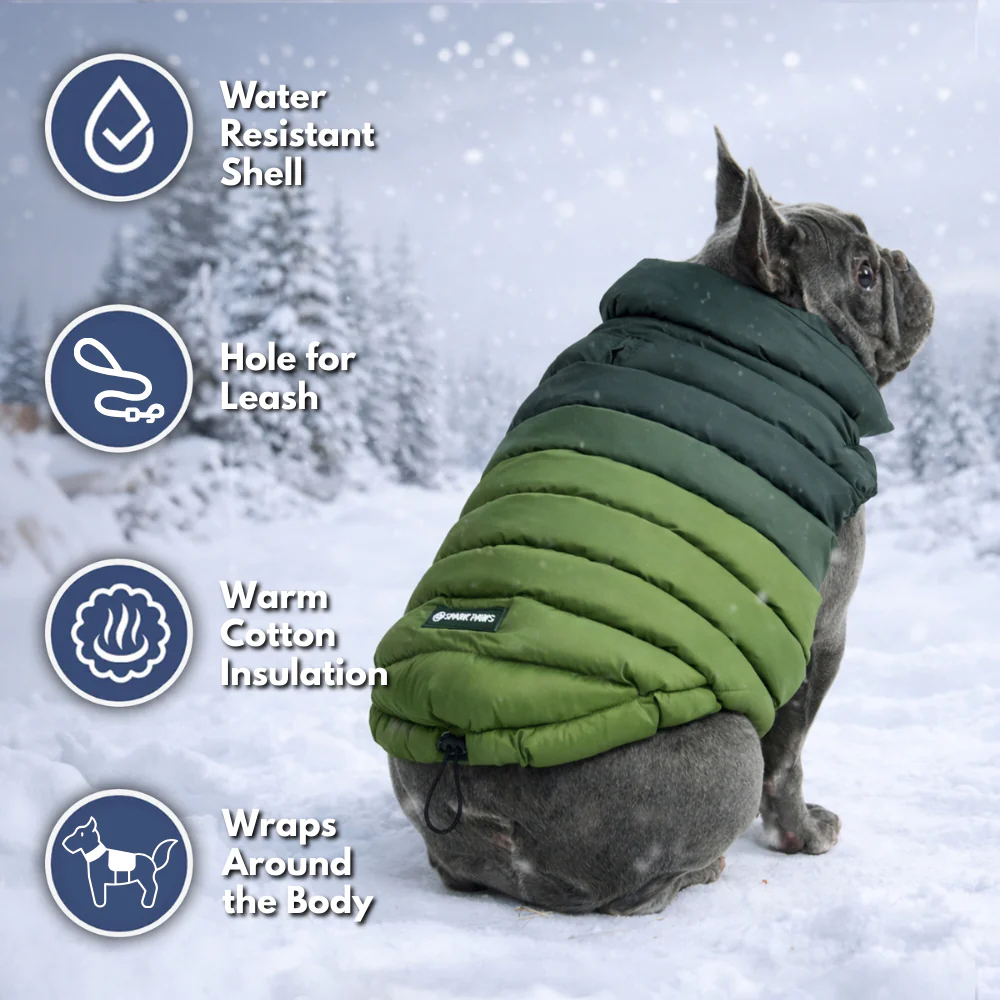 PuffShield Winter Jackets - Image 38