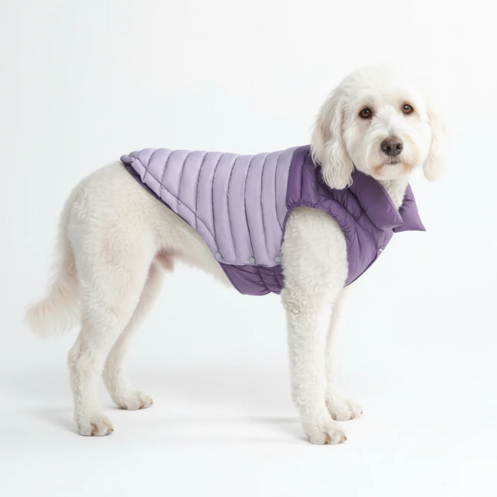 PuffShield Winter Jackets - Image 54