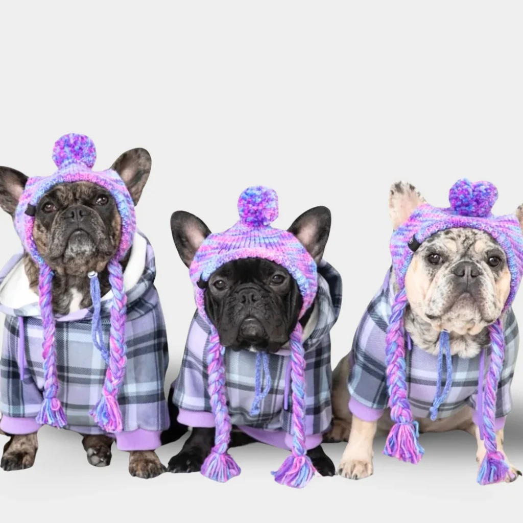 Purple Plaid Dog Hoodie - Image 11