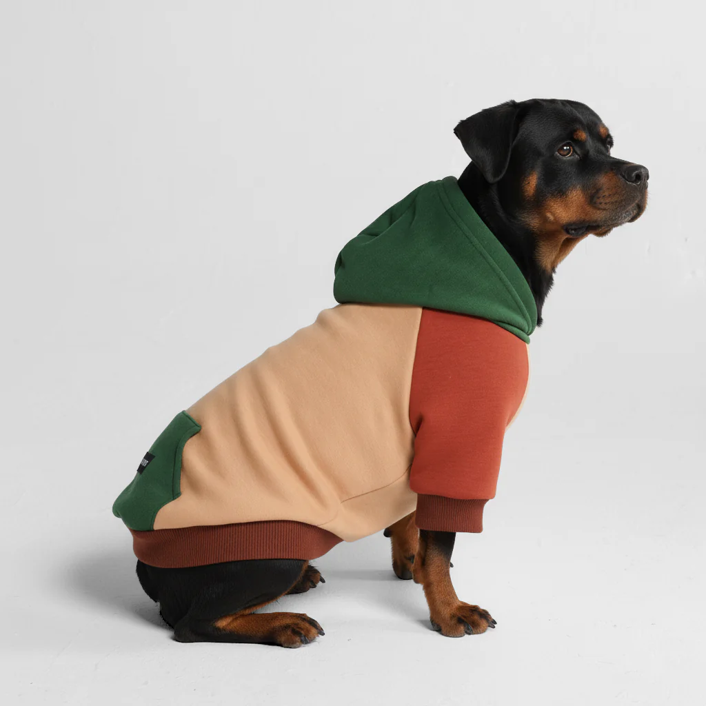 Color Block Dog Hoodies - Image 45