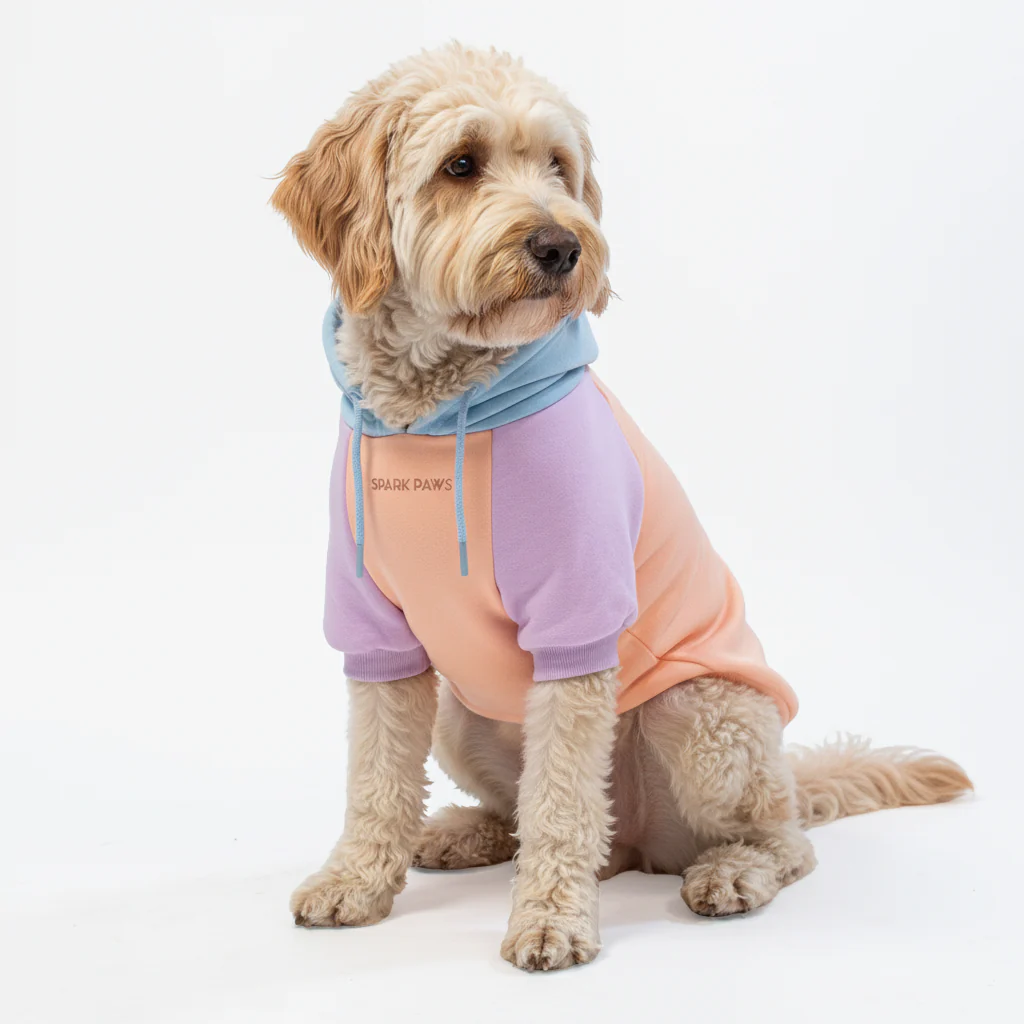 Color Block Dog Hoodies - Image 55