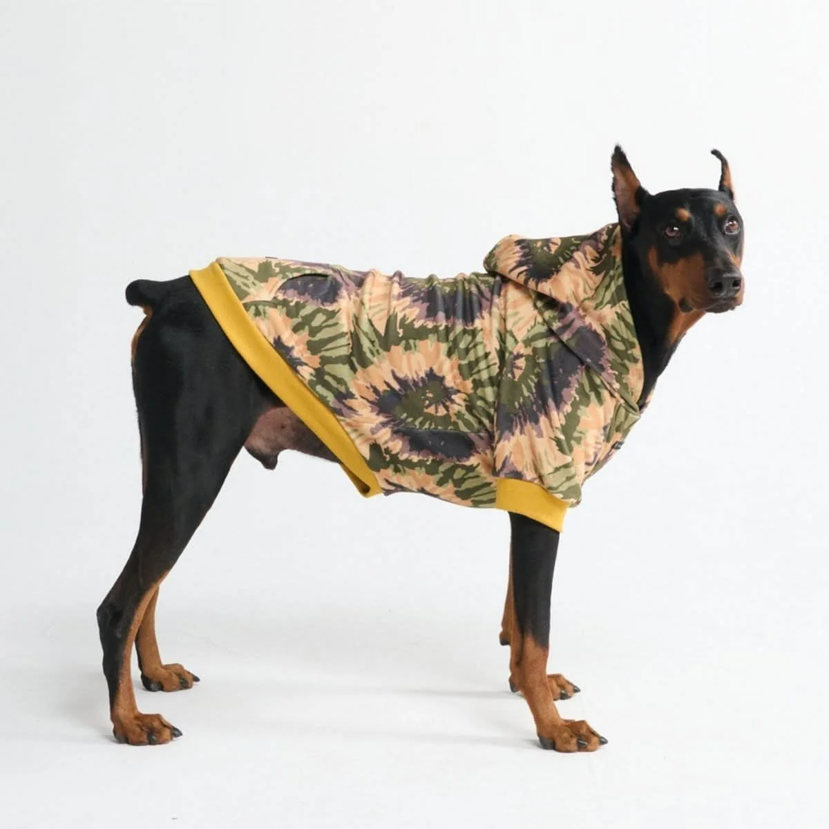 Velvet Dog Hoodies - Image 40