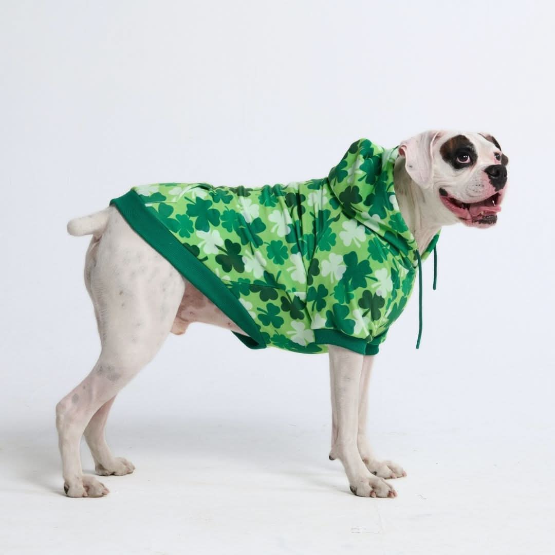 St. Paddy's Human Hoodie - Shamrocks (Limited Edition) - Image 5
