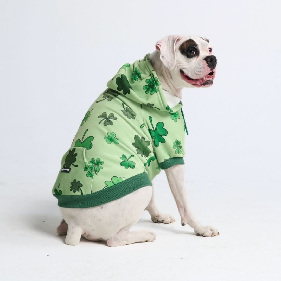 St. Paddy's Human Hoodies (Limited Edition) - Image 12