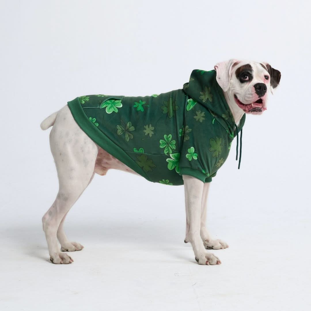 St. Paddy's Human Hoodies (Limited Edition) - Image 3