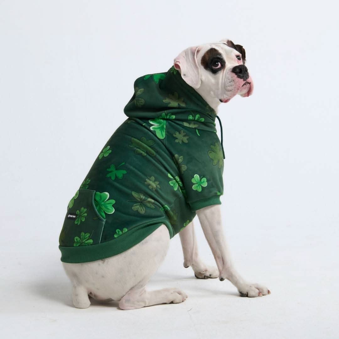 St. Paddy's Dog Hoodies (Limited Edition) - Image 3