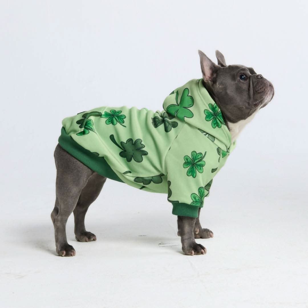 St. Paddy's Dog Hoodies (Limited Edition) - Image 5