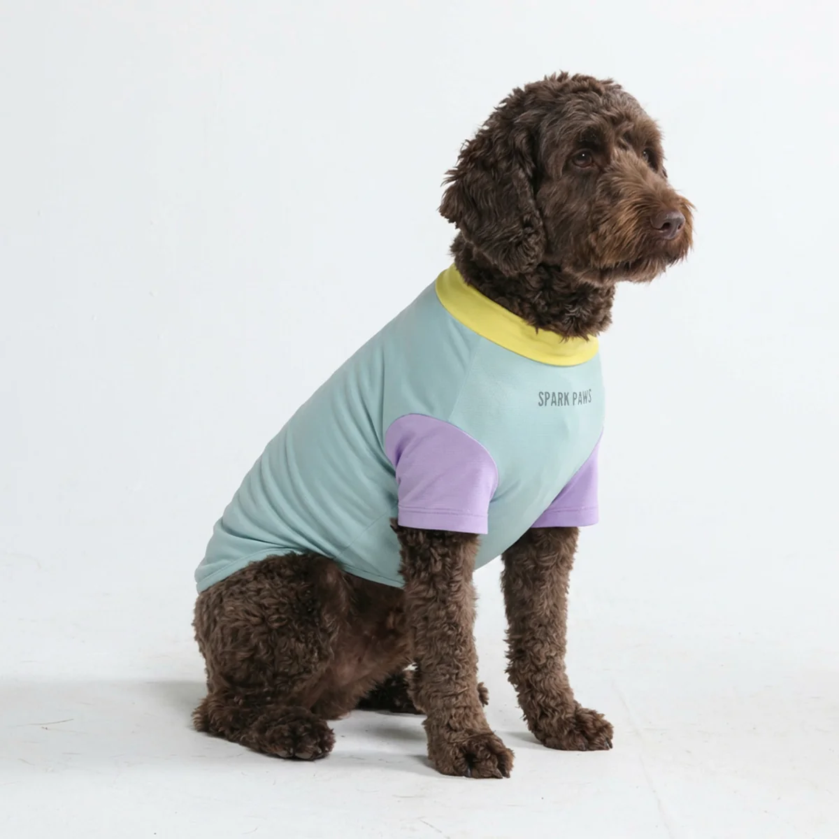 Sunblock Dog T-Shirt - Color Block - Image 11