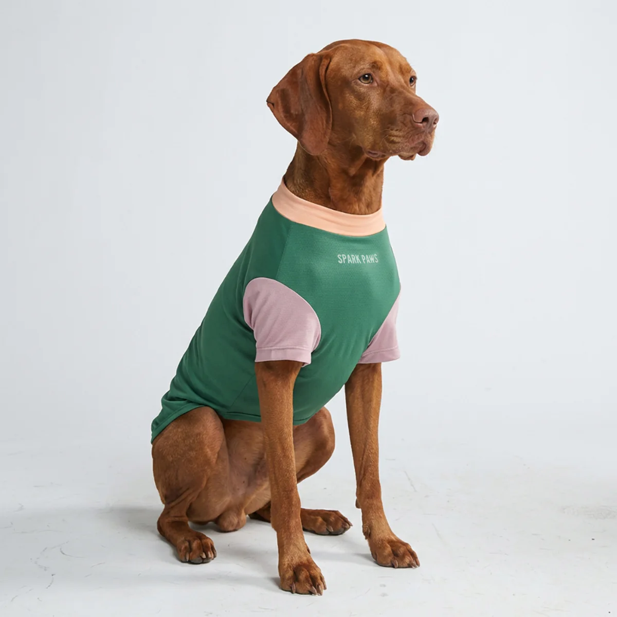 Sunblock Dog T-Shirt - Color Block - Image 25