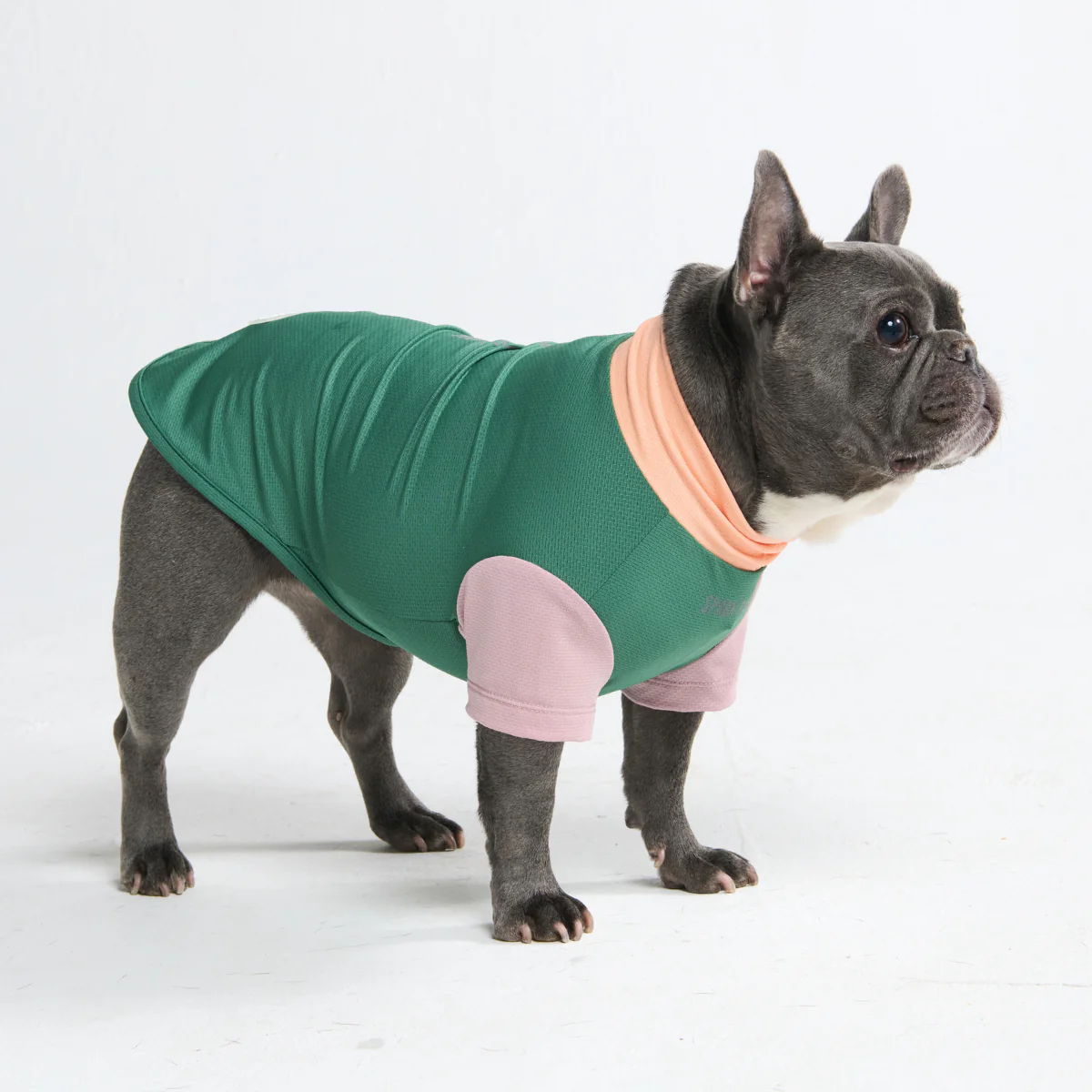 Sunblock Dog T-Shirt - Color Block - Image 29