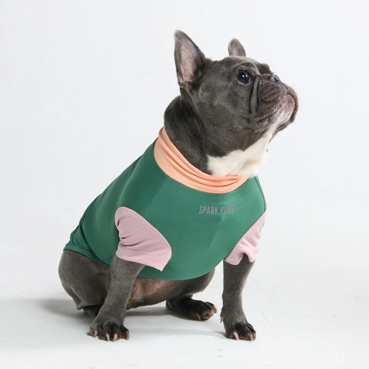 Sunblock Dog T-Shirt - Color Block - Image 30