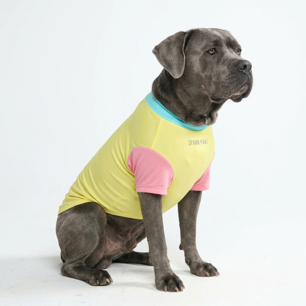 Sunblock Dog T-Shirt - Color Block - Image 41
