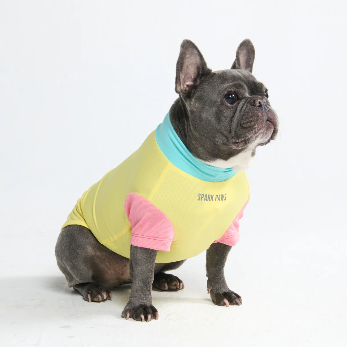 Sunblock Dog T-Shirt - Color Block - Image 46