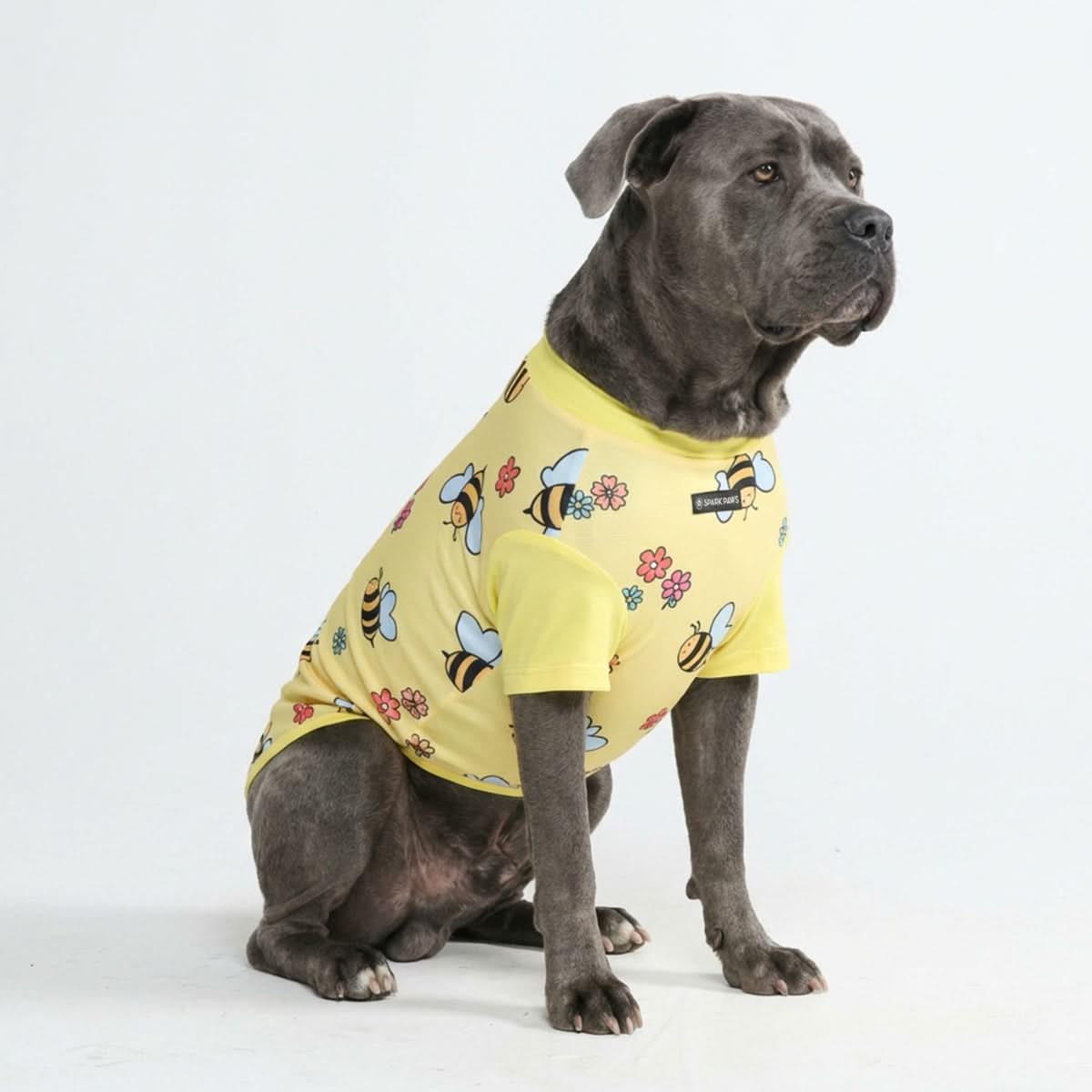 Sunblock Dog T-Shirt - Prints - Image 4