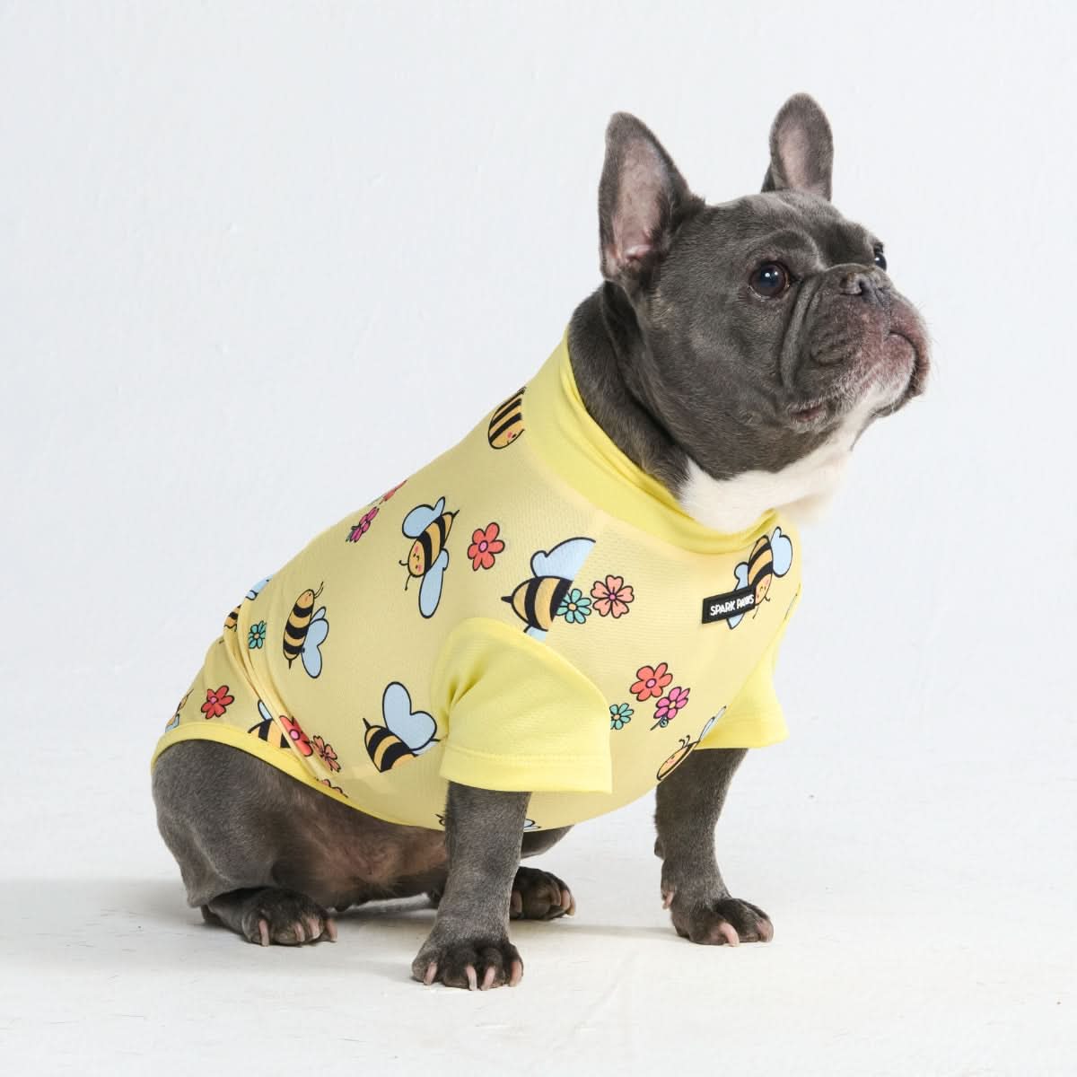 Sunblock Dog T-Shirt - Prints - Image 6
