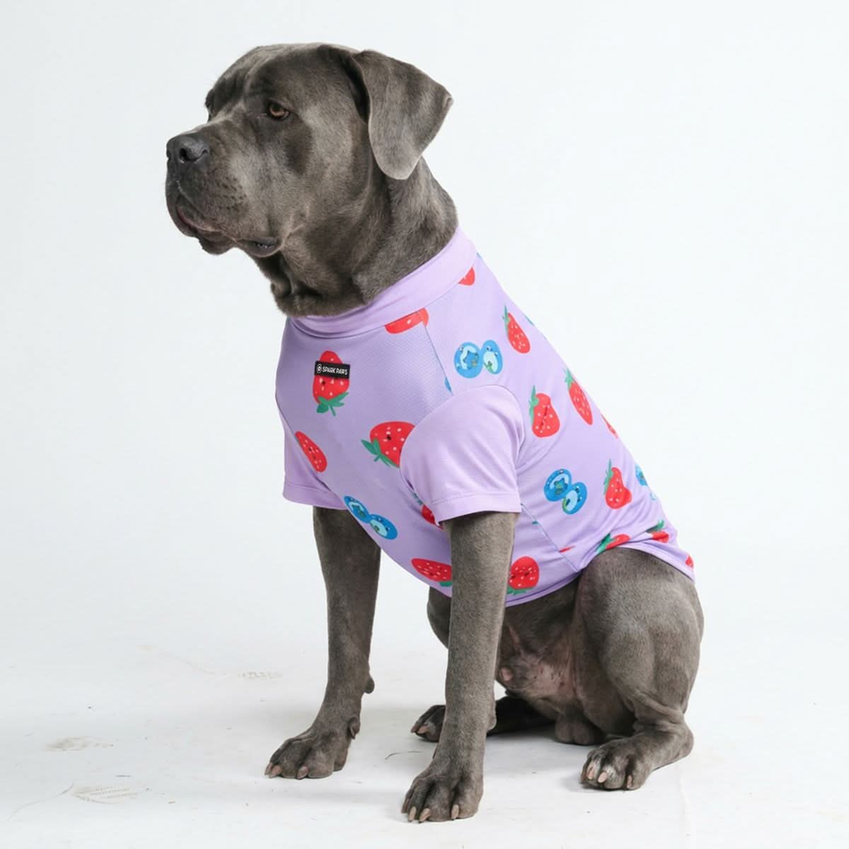 Sunblock Dog T-Shirt - Prints - Image 28
