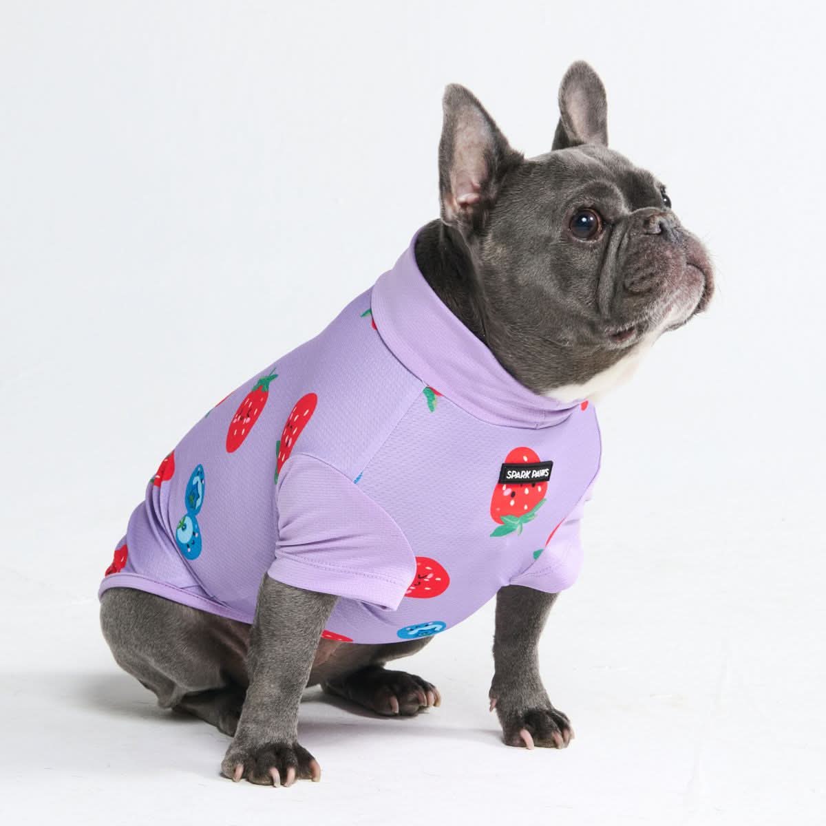 Sunblock Dog T-Shirt - Prints - Image 30