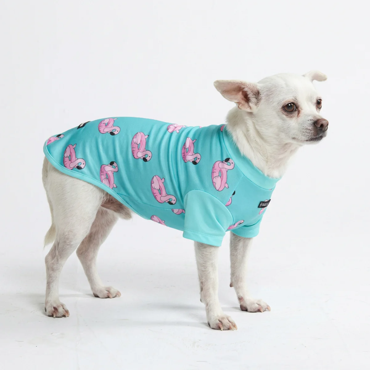 Sunblock Dog T-Shirt - Prints - Image 9