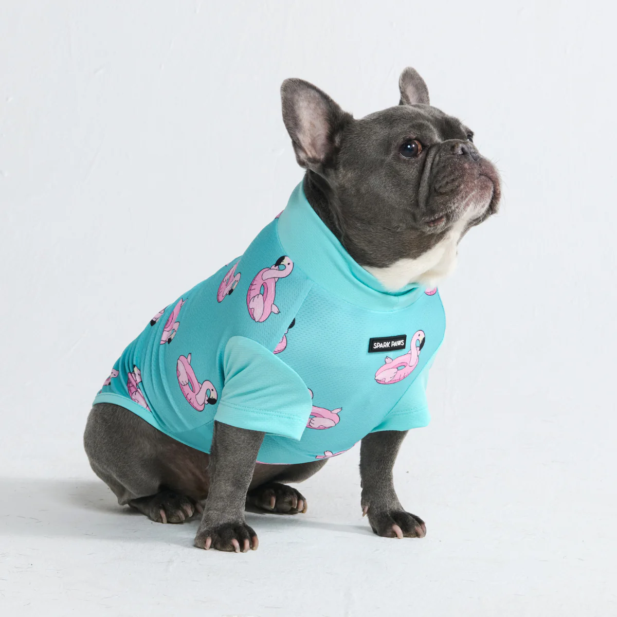Sunblock Dog T-Shirt - Prints - Image 14