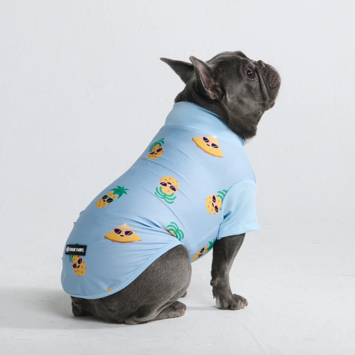 Sunblock Dog T-Shirt - Prints - Image 18