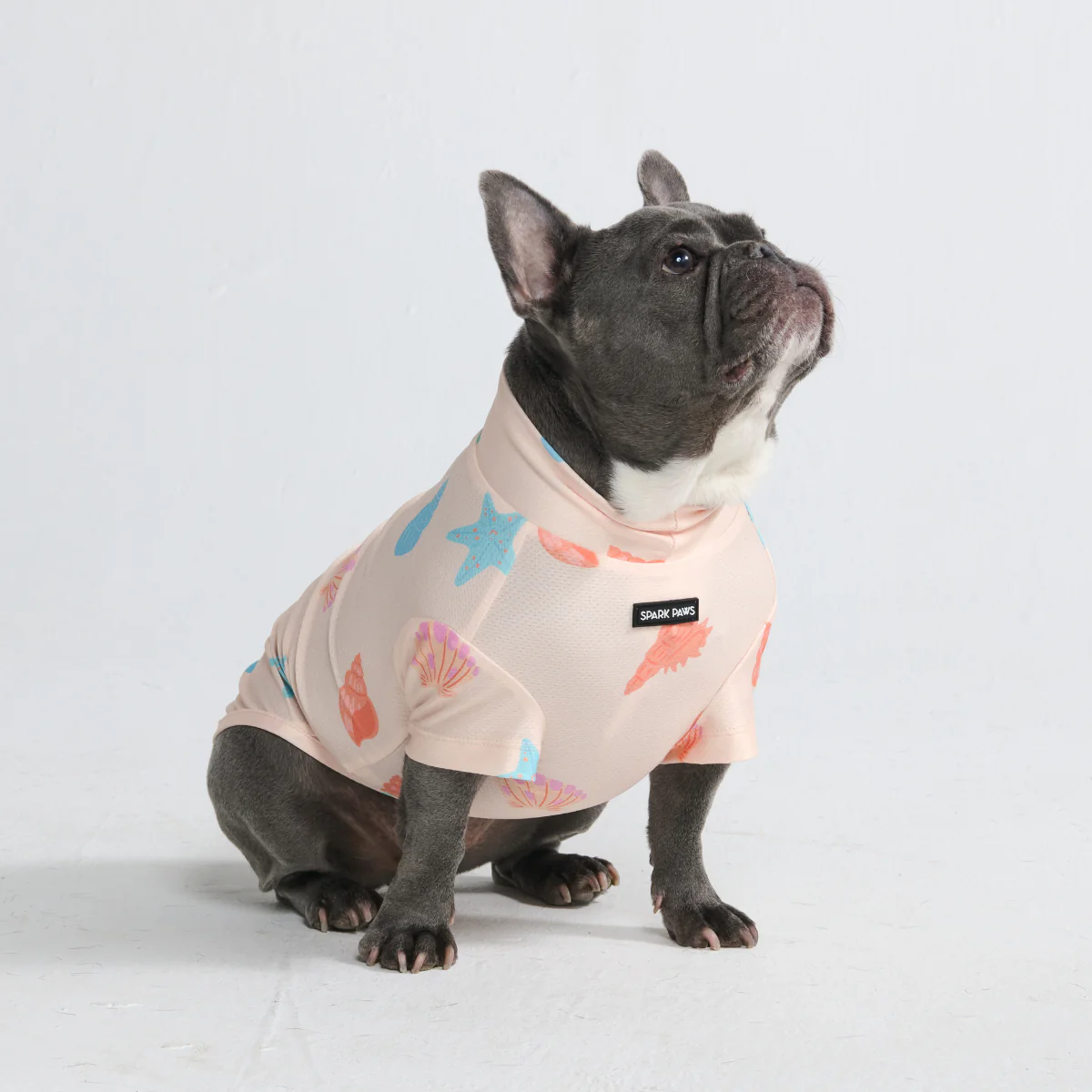 Sunblock Dog T-Shirt - Prints - Image 41