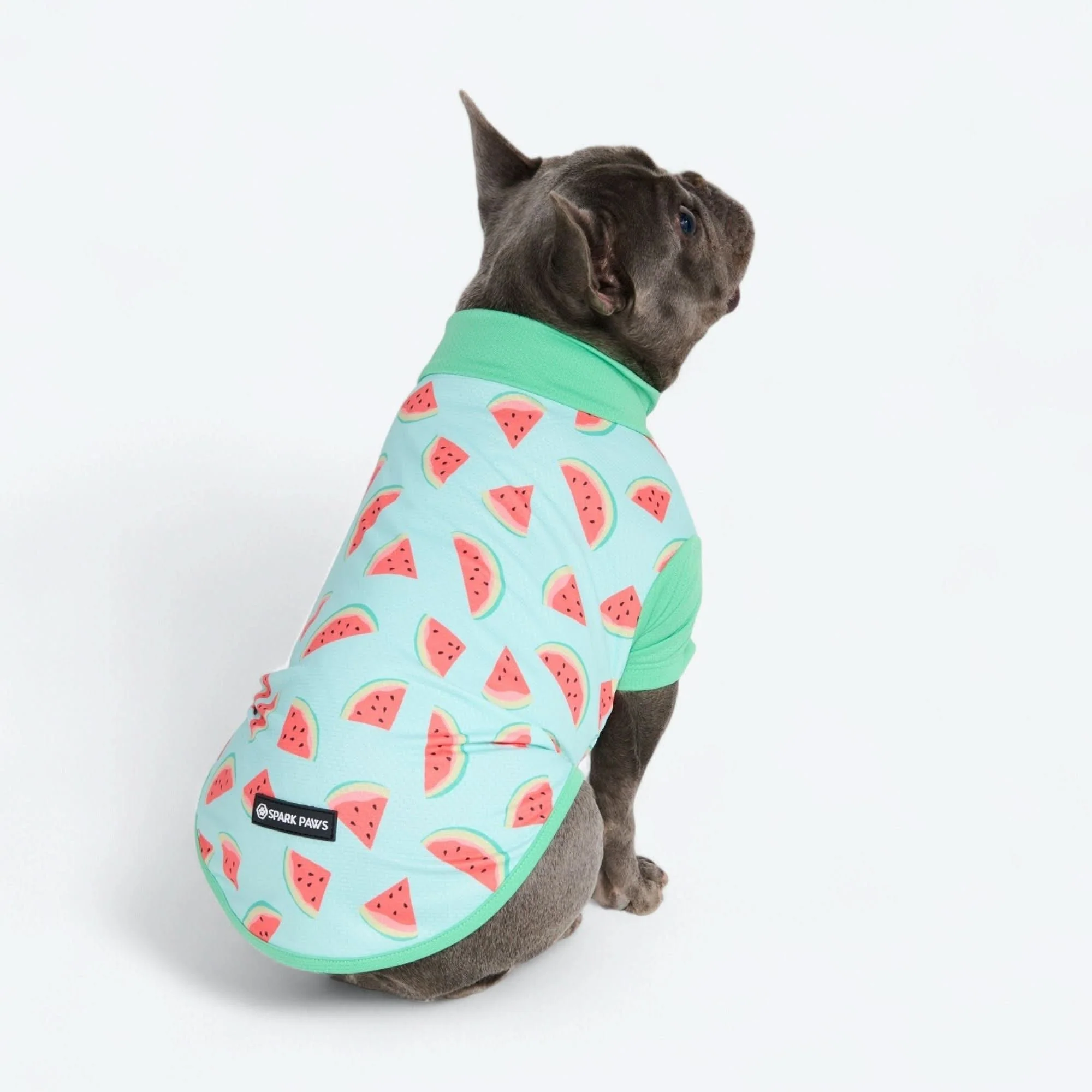 Sunblock Dog T-Shirt - Prints - Image 37