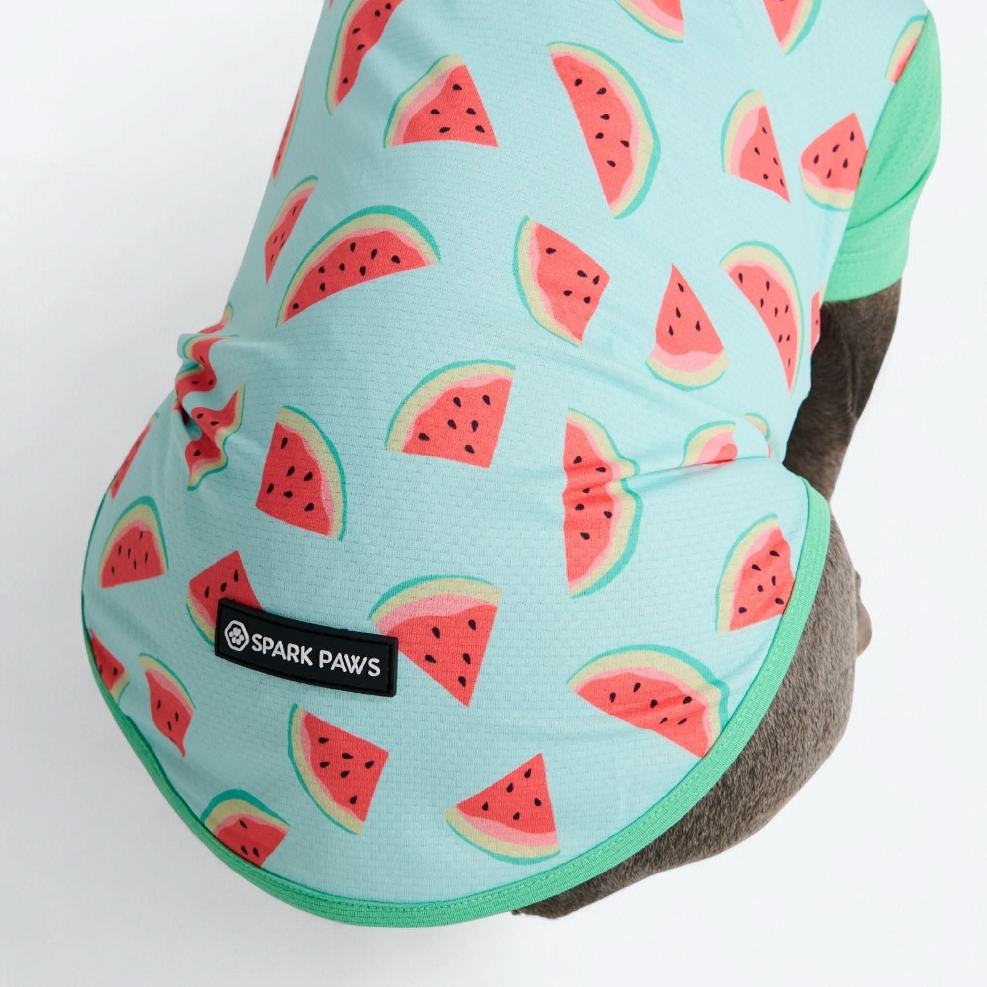 Sunblock Dog T-Shirt - Prints - Image 38