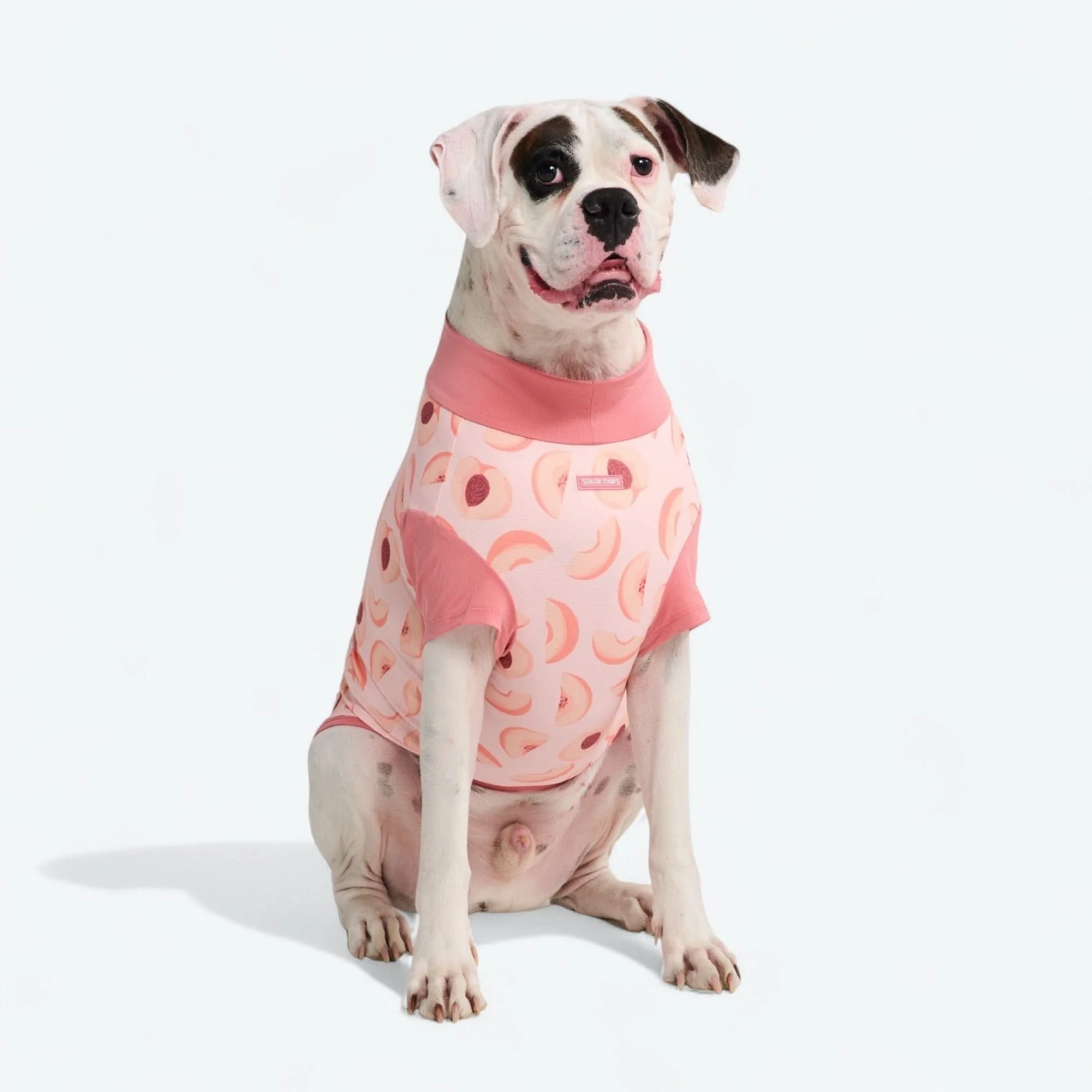 Sunblock Dog T-Shirt - Prints - Image 50