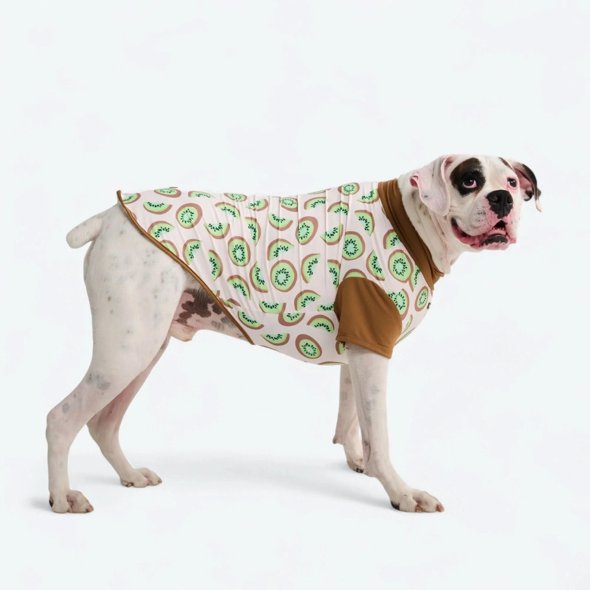 Sunblock Dog T-Shirt - Prints - Image 62