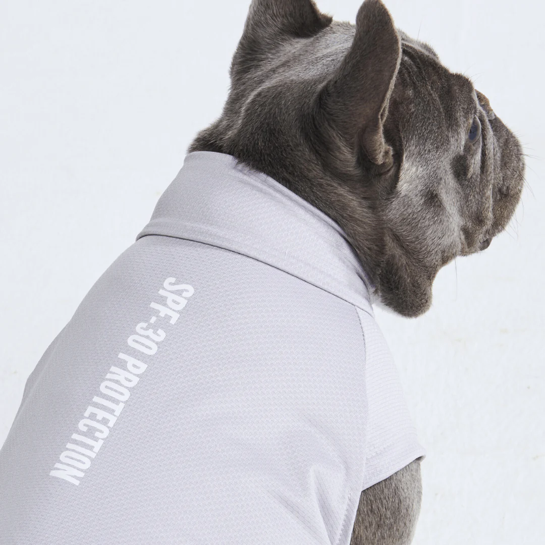 Sunblock Dog T-Shirts - Image 22
