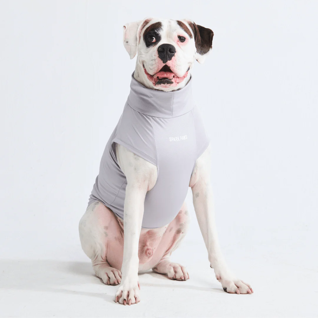 Sunblock Dog T-Shirts - Image 24