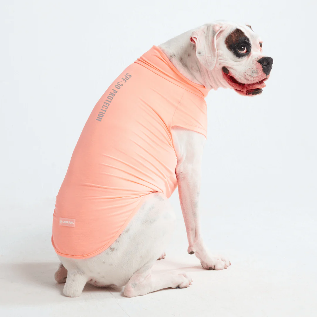 Sunblock Dog T-Shirts - Image 28