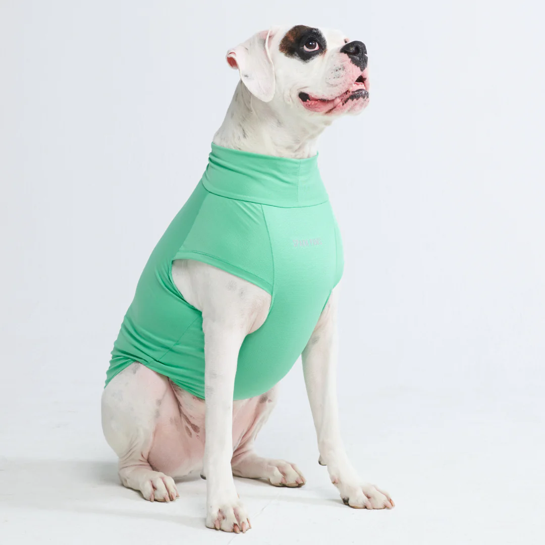 Sunblock Dog T-Shirts - Image 35