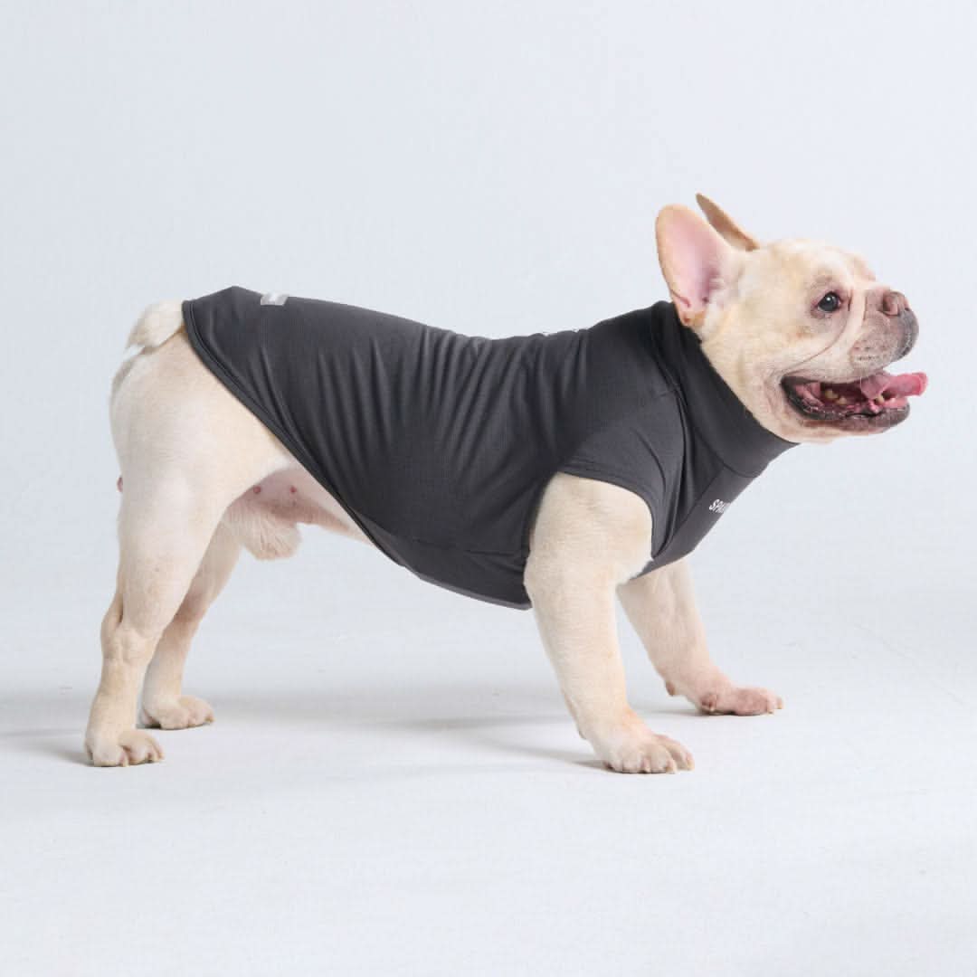 Sunblock Dog T-Shirts - Image 38