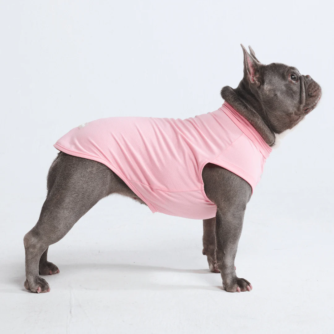 Sunblock Dog T-Shirts - Image 8
