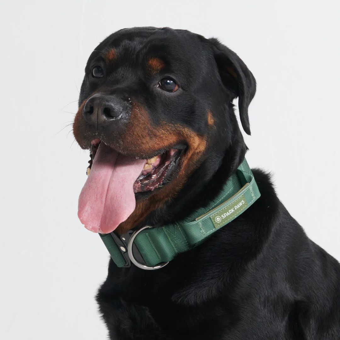 Comfort Control Collar - Army Green - Image 6
