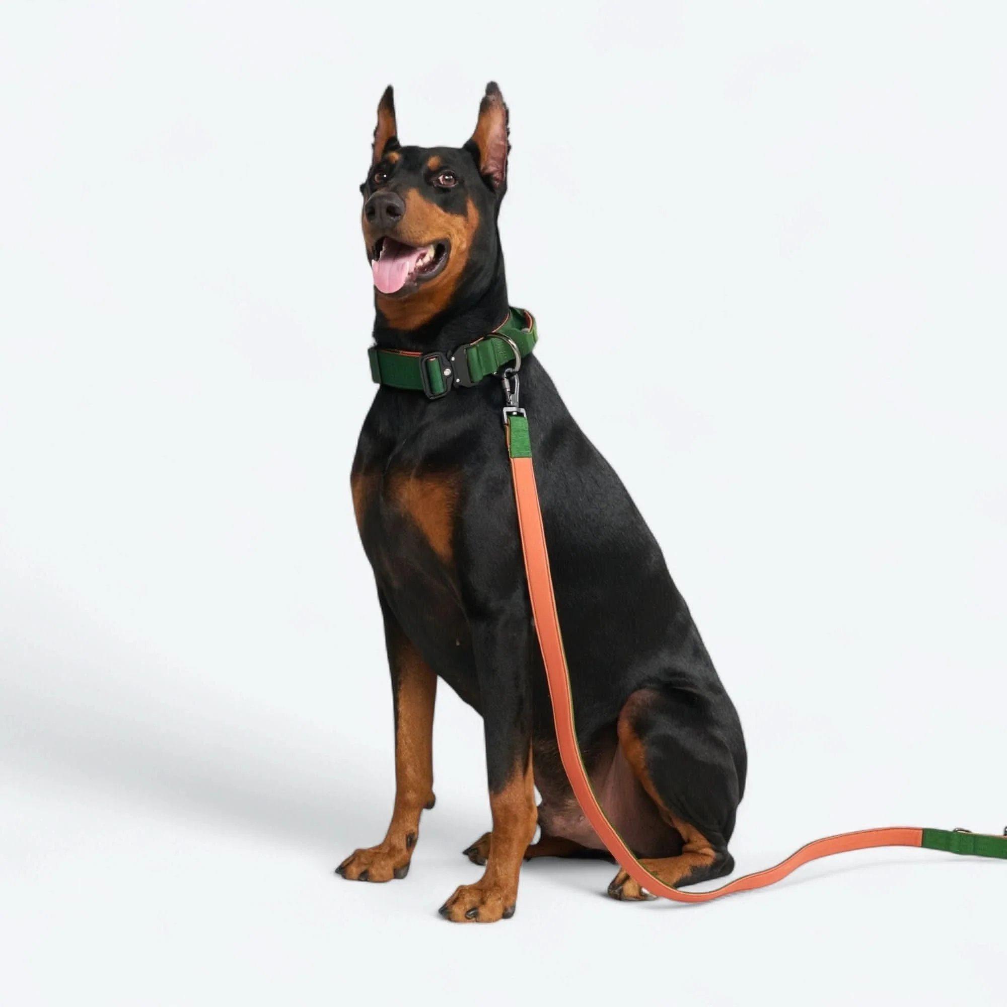Comfort Control Dog Collars - Image 108