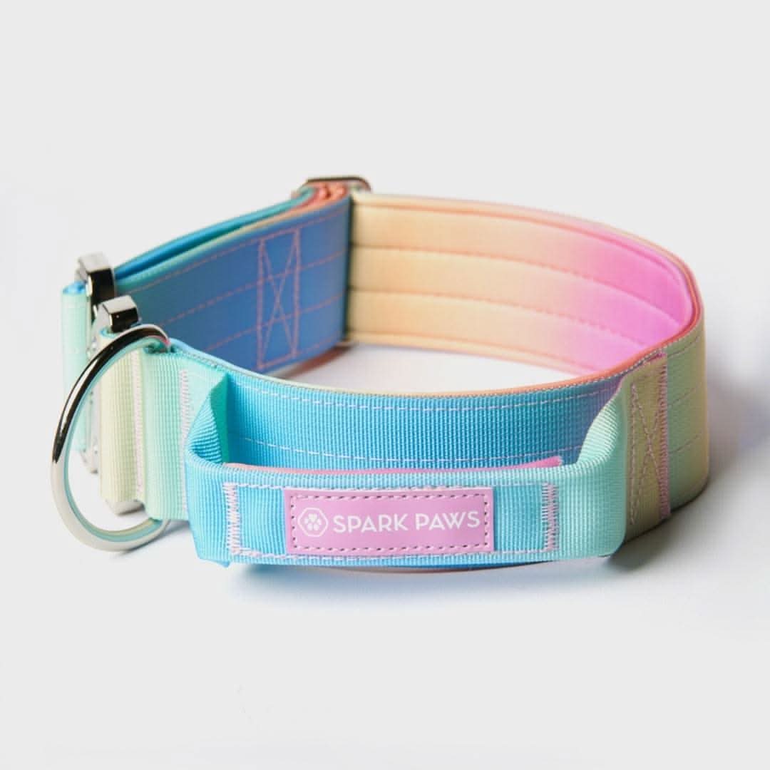 Comfort Control Dog Collars - Image 13