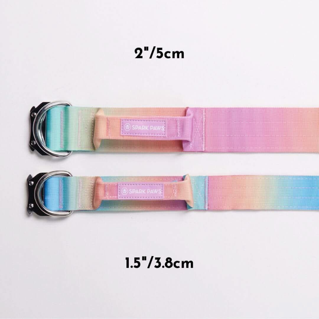 Comfort Control Dog Collars - Image 18