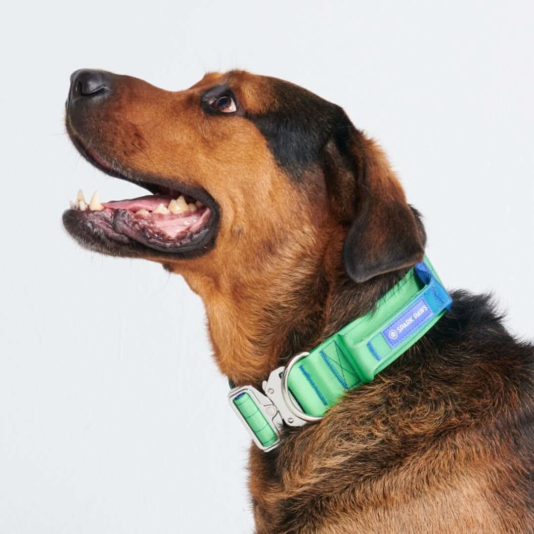 Comfort Control Dog Collars - Image 28