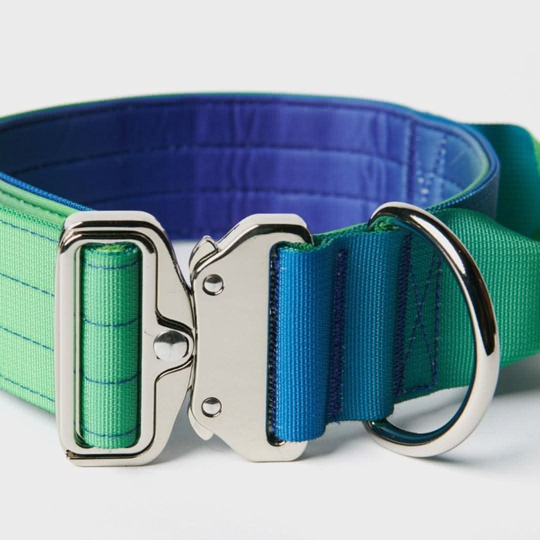 Comfort Control Dog Collars - Image 30