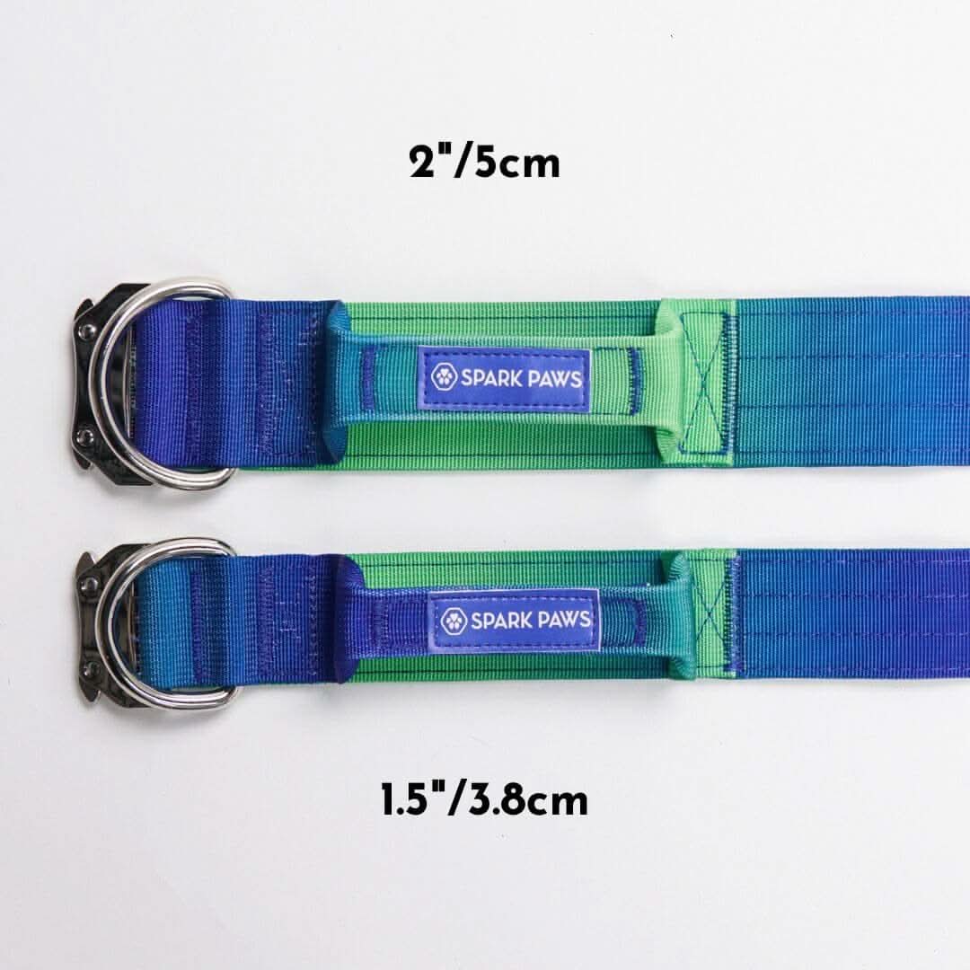 Comfort Control Dog Collars - Image 31
