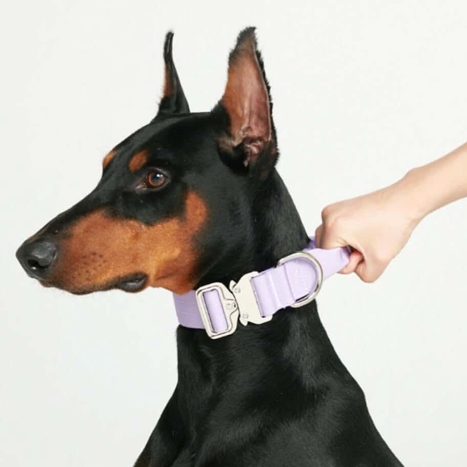 Comfort Control Dog Collars - Image 72