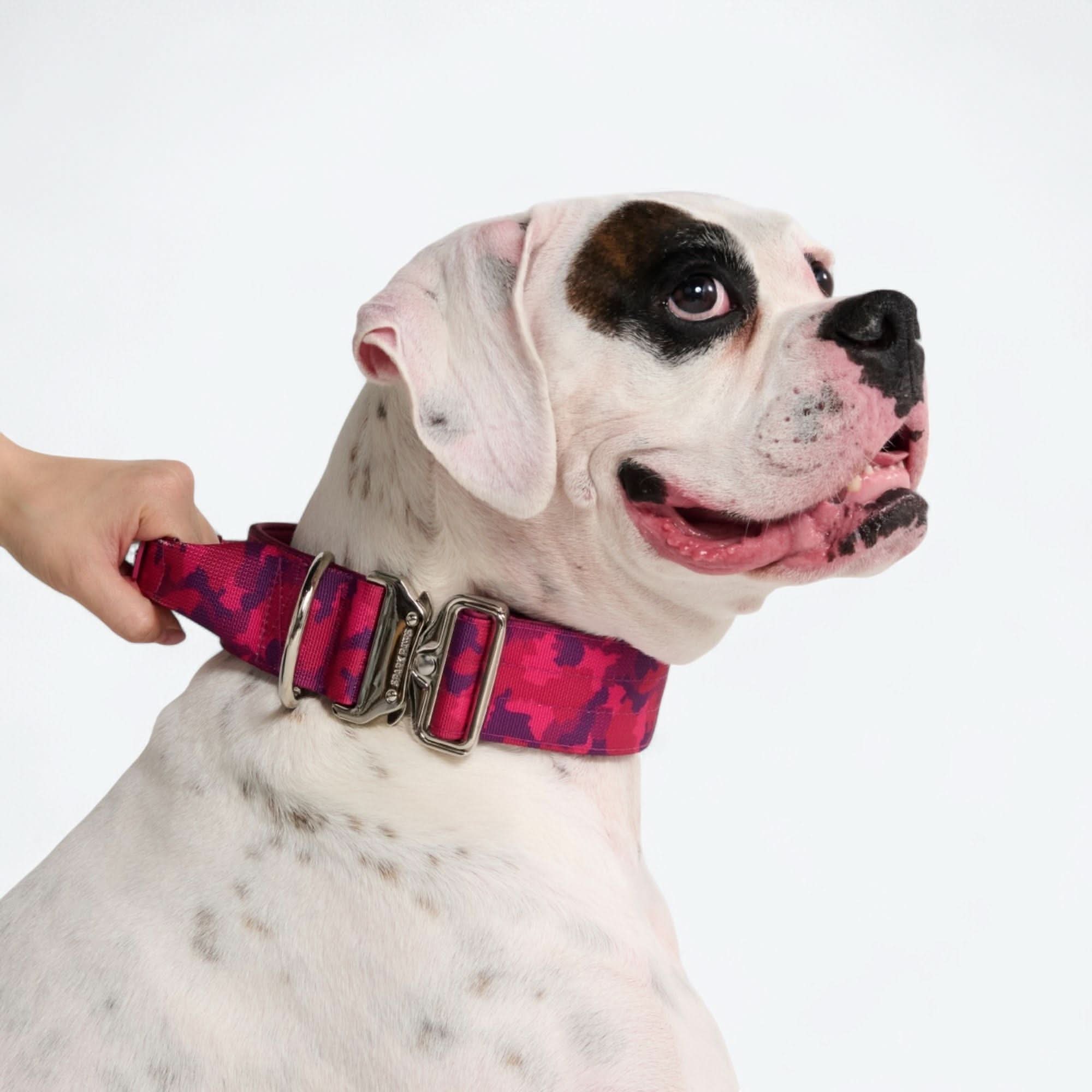 Comfort Control Dog Collars - Image 83