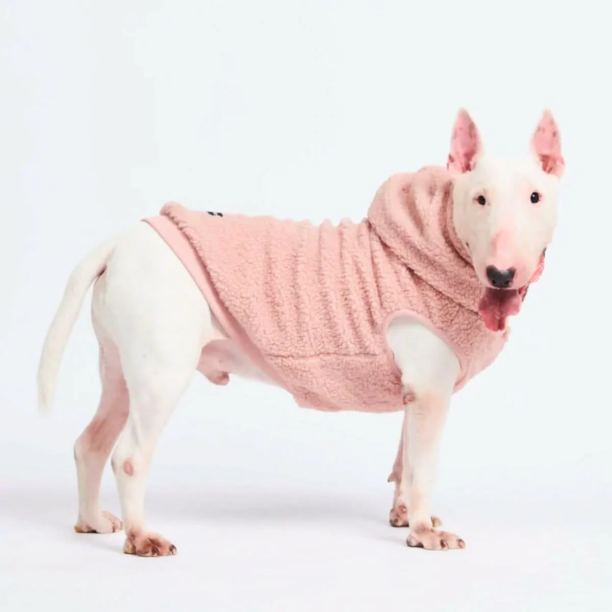 Teddy Sherpa Dog Jackets - Image 28