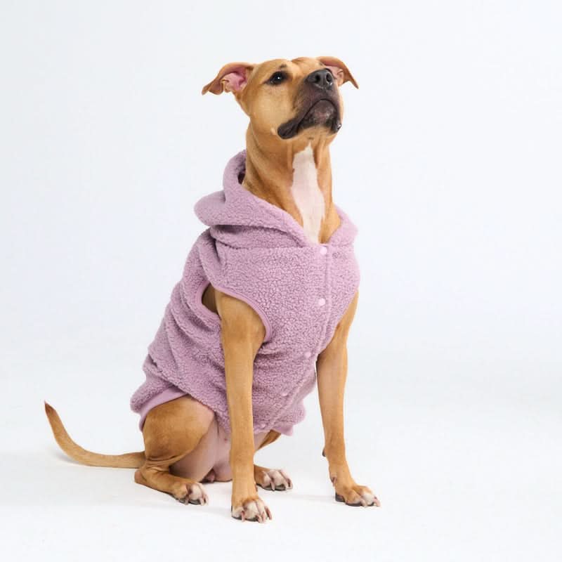 Teddy Sherpa Dog Jackets - Image 39